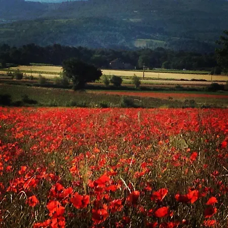 Bed & Breakfast De La Glycine